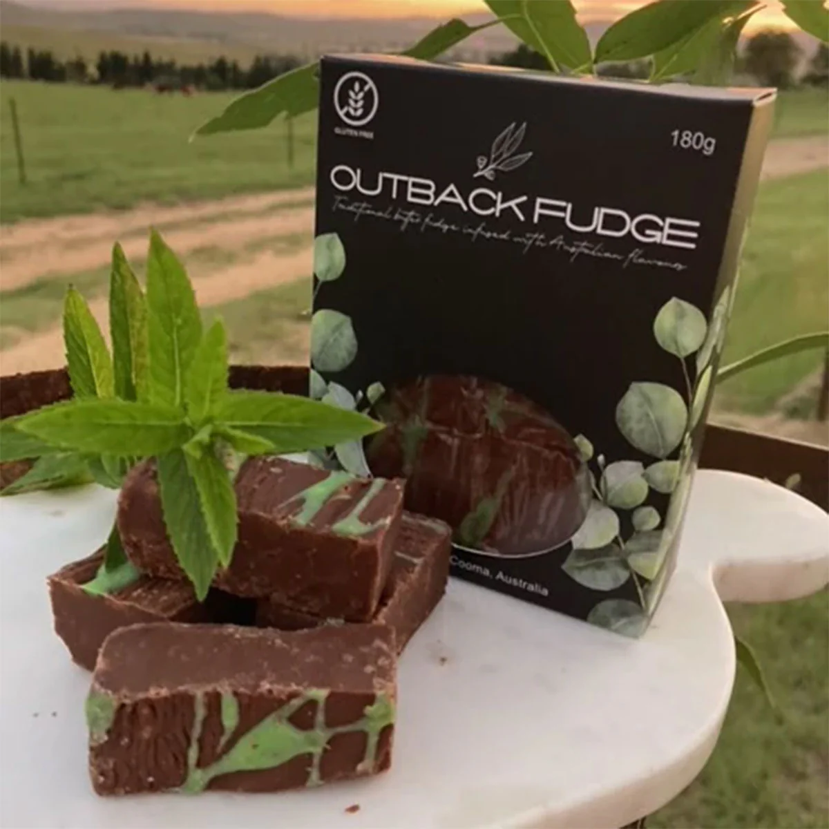 Mountain Mint - Outback Fudge