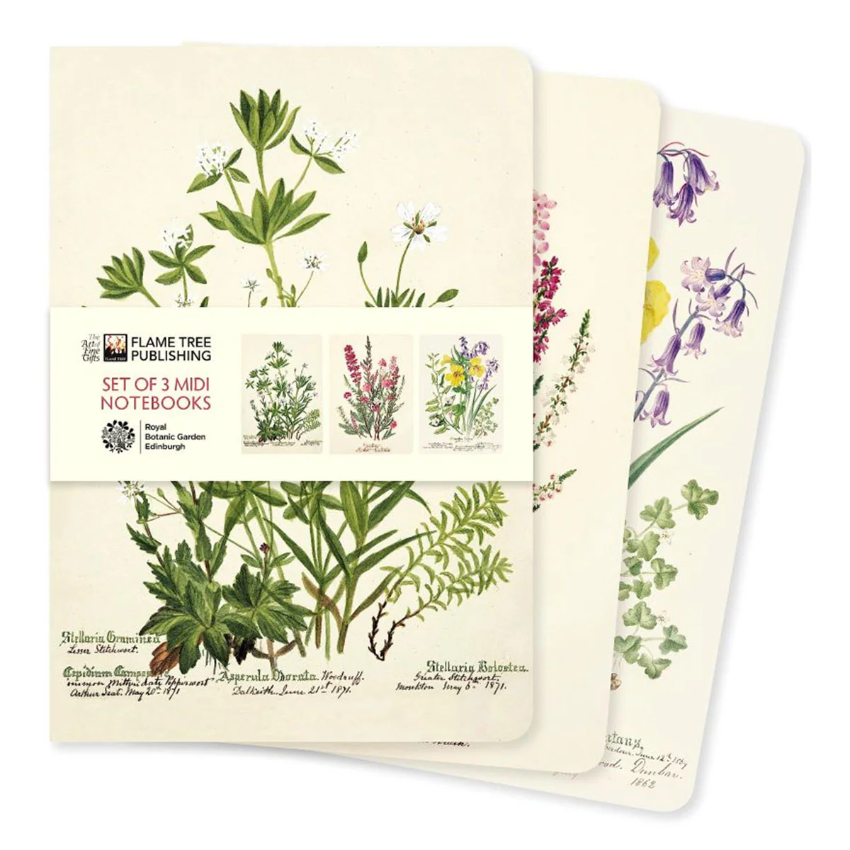 Notebook Midid Royal Botanic Garden Edinburgh Set of 3