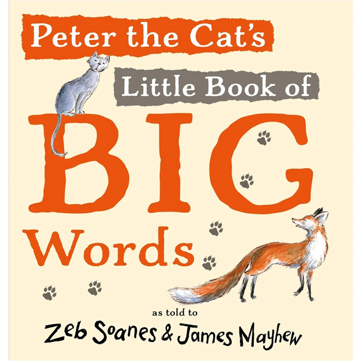 Peter the Cat's Little Book fo Big Words - Zeb Soanes