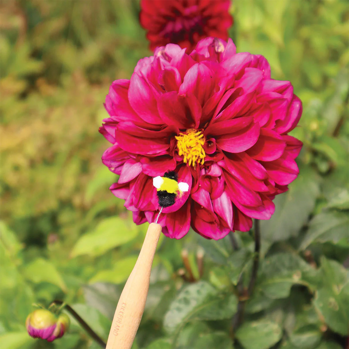 Pollination Wand - Isalbi - Image 2