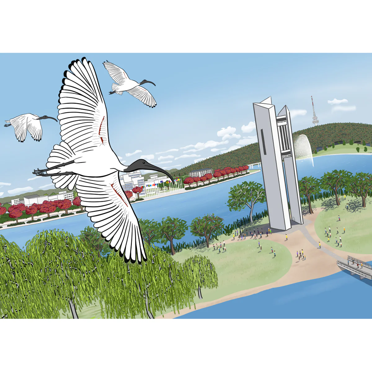 Postcard Australian White Ibis at the National Carillon Canberra - Stuart McMillen