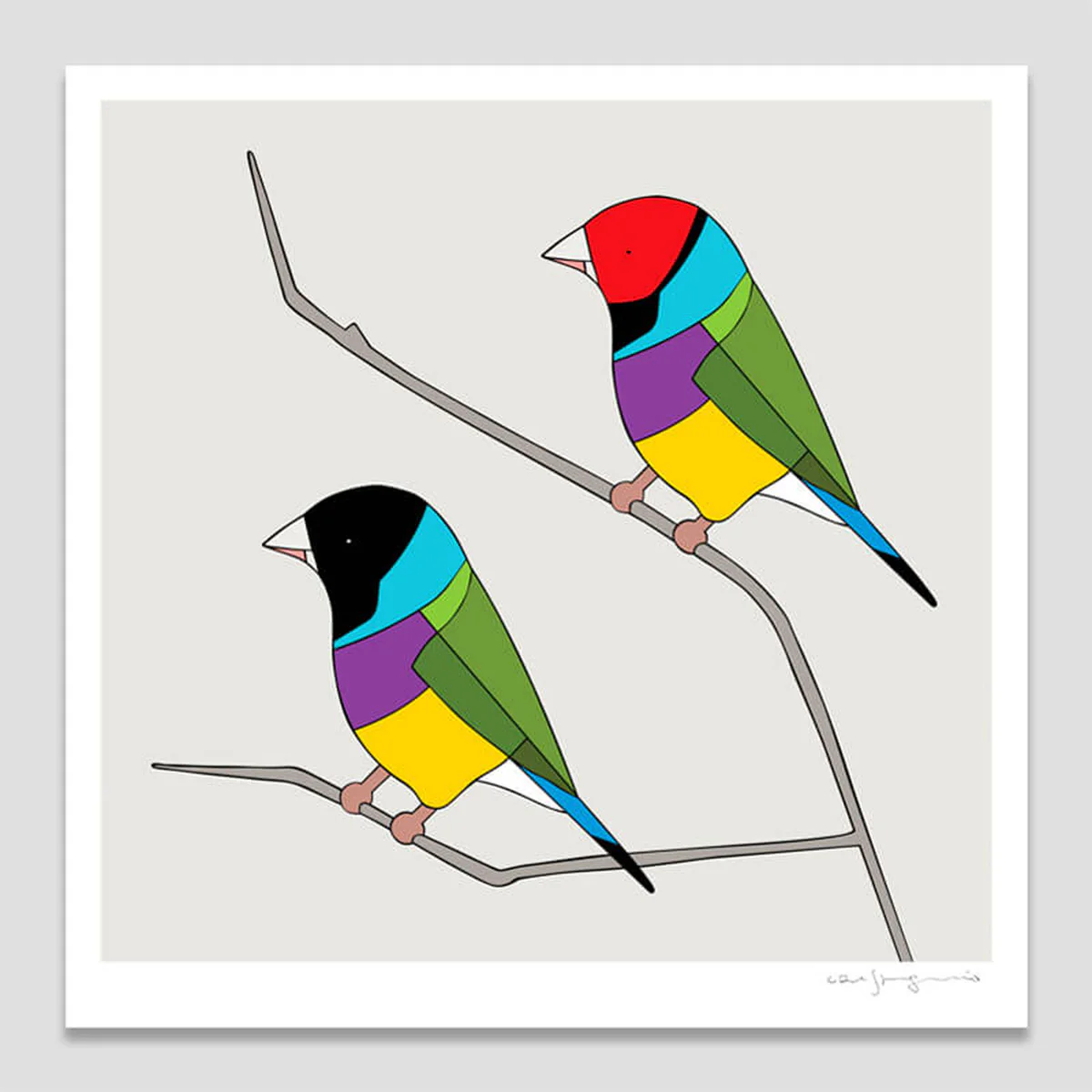 Print Gouldian Finches 21x21cm - Eggpicnic