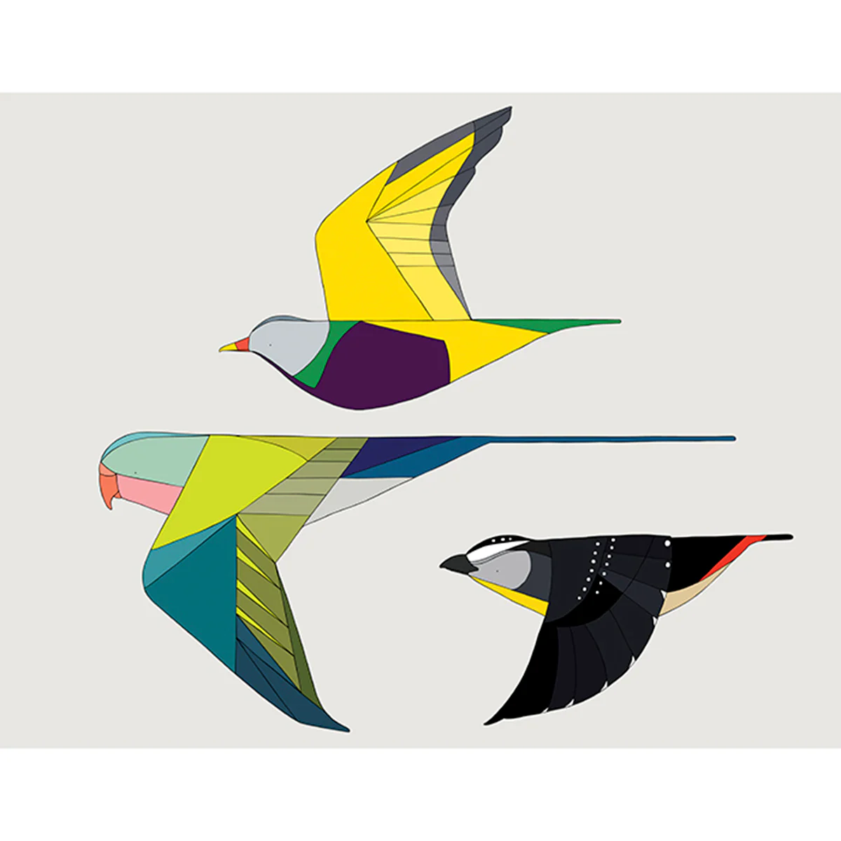 Print Medium Birds of Australia Trio- Eggpicnic