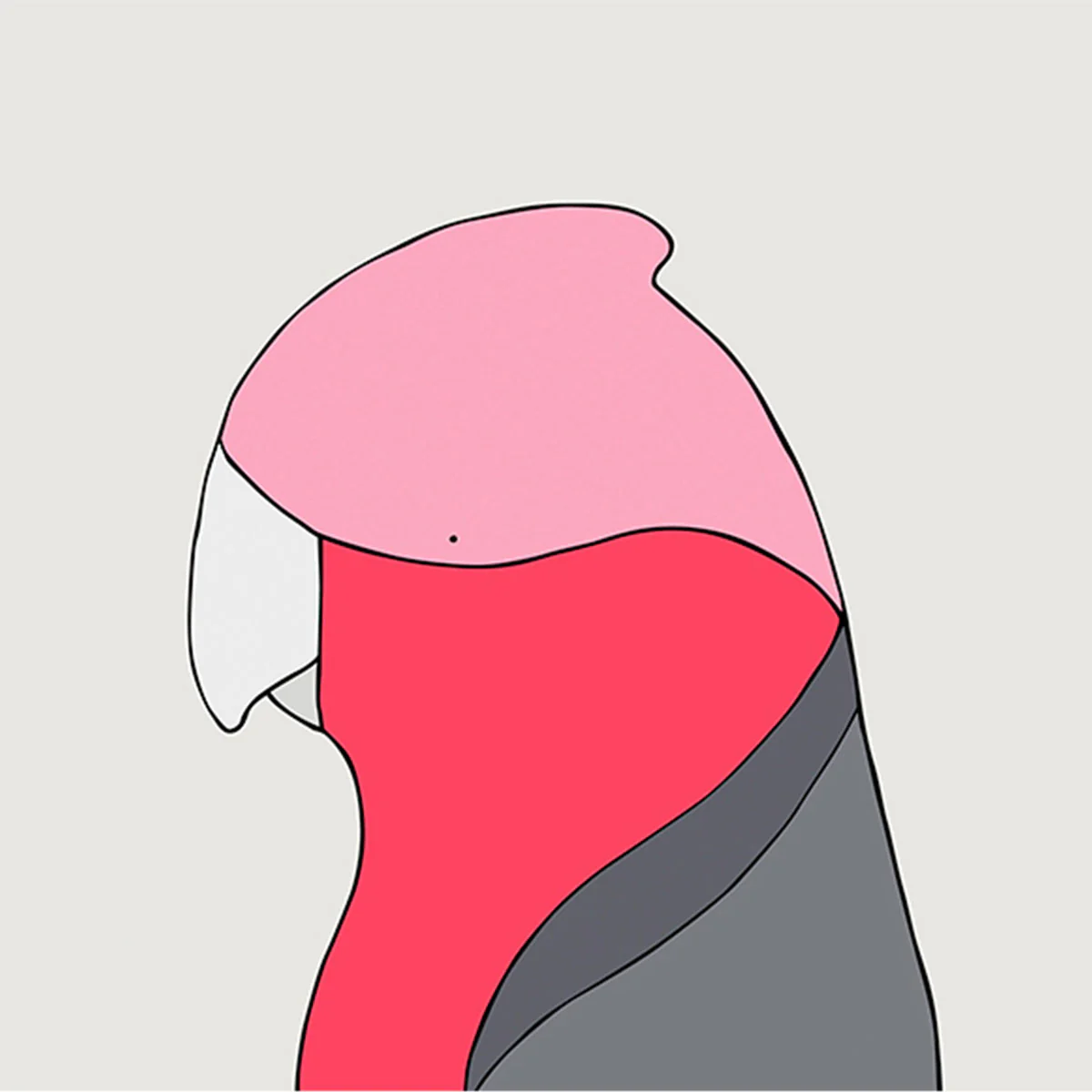 Print Small Galah 21x21cm - Eggpicnic