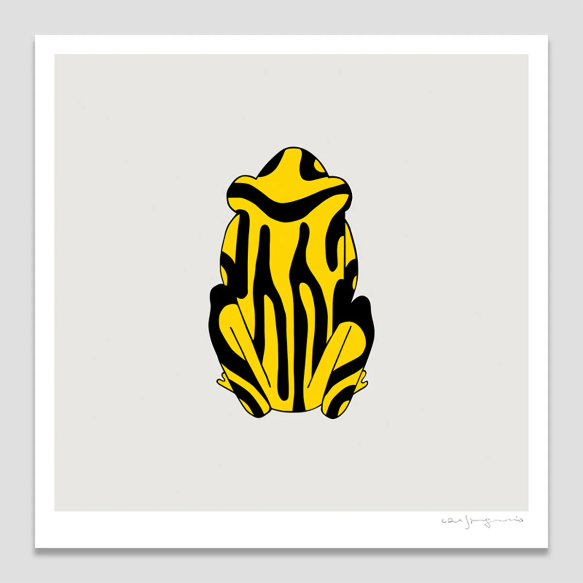 Print Southern Corroboree Frog 21x21cm - Eggpicnic