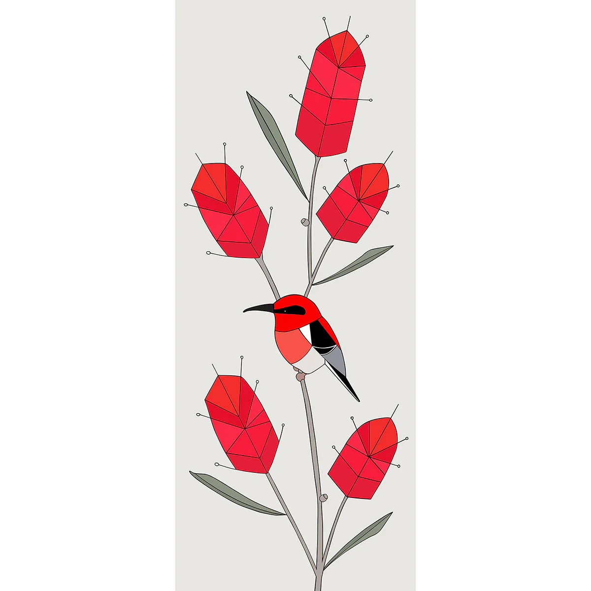 Print XL Scarlet Honey Eater and Bottlebrush - Eggpicnic