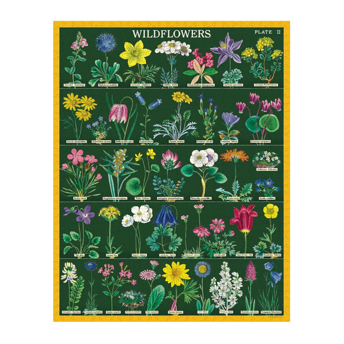 Puzzle Wildflowers 2 1000pc - Bobangles - Image 2