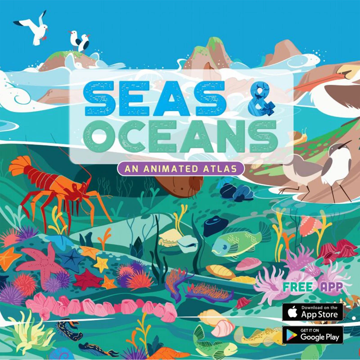 Seas and Oceans An Animated Atlas - Jamie Collins