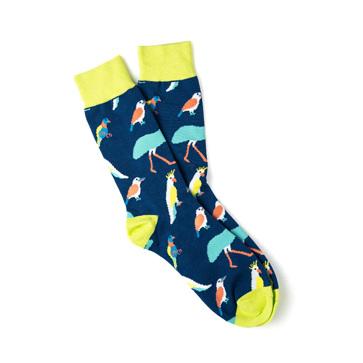 Socks Australian Native Birds Large - Capital Socks
