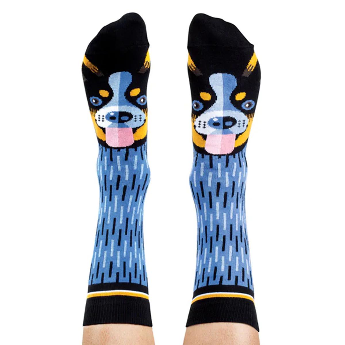 Socks Blue Heeler 2-8 - WilsonPayne Aust