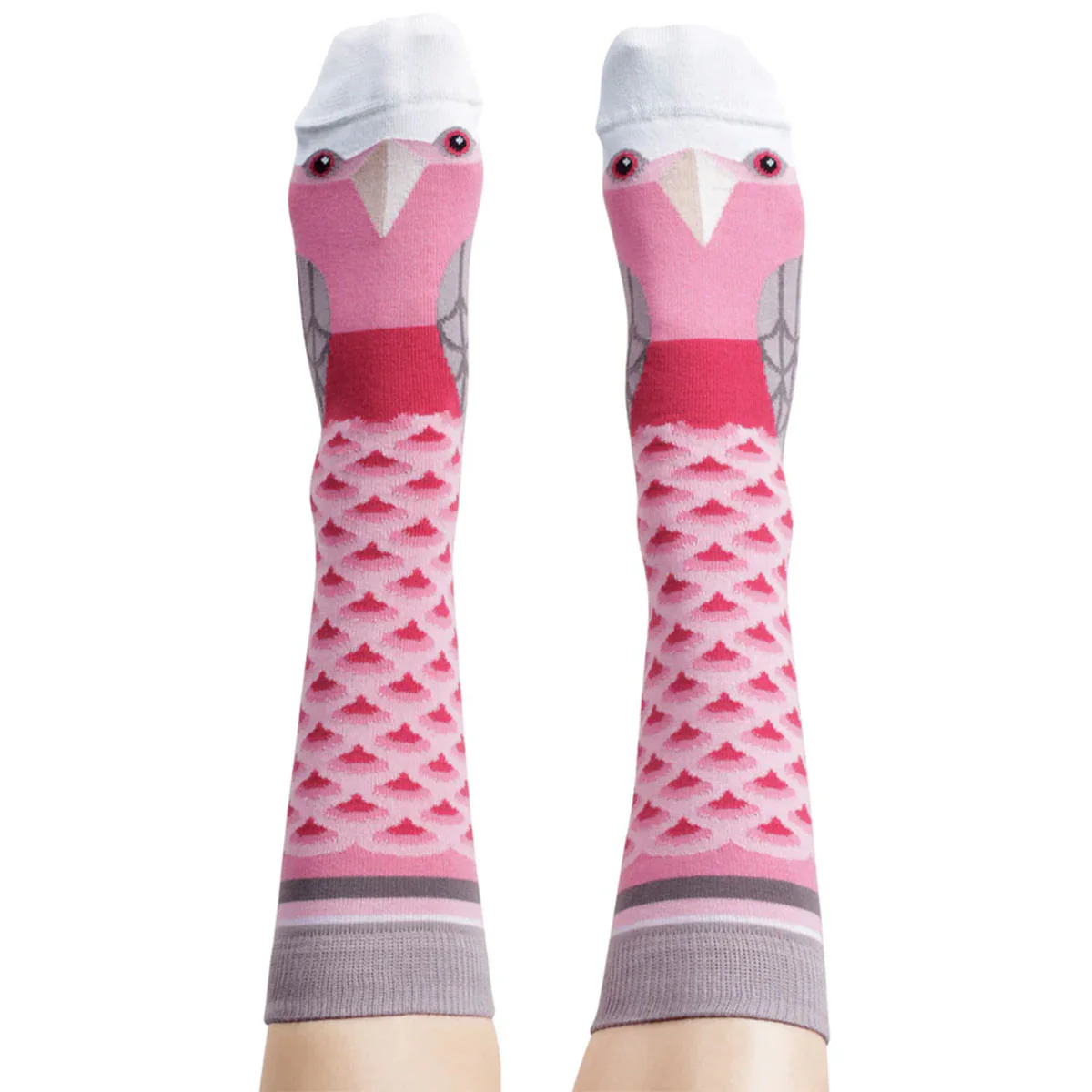 Socks Galah 8-11 - WilsonPayne Aust