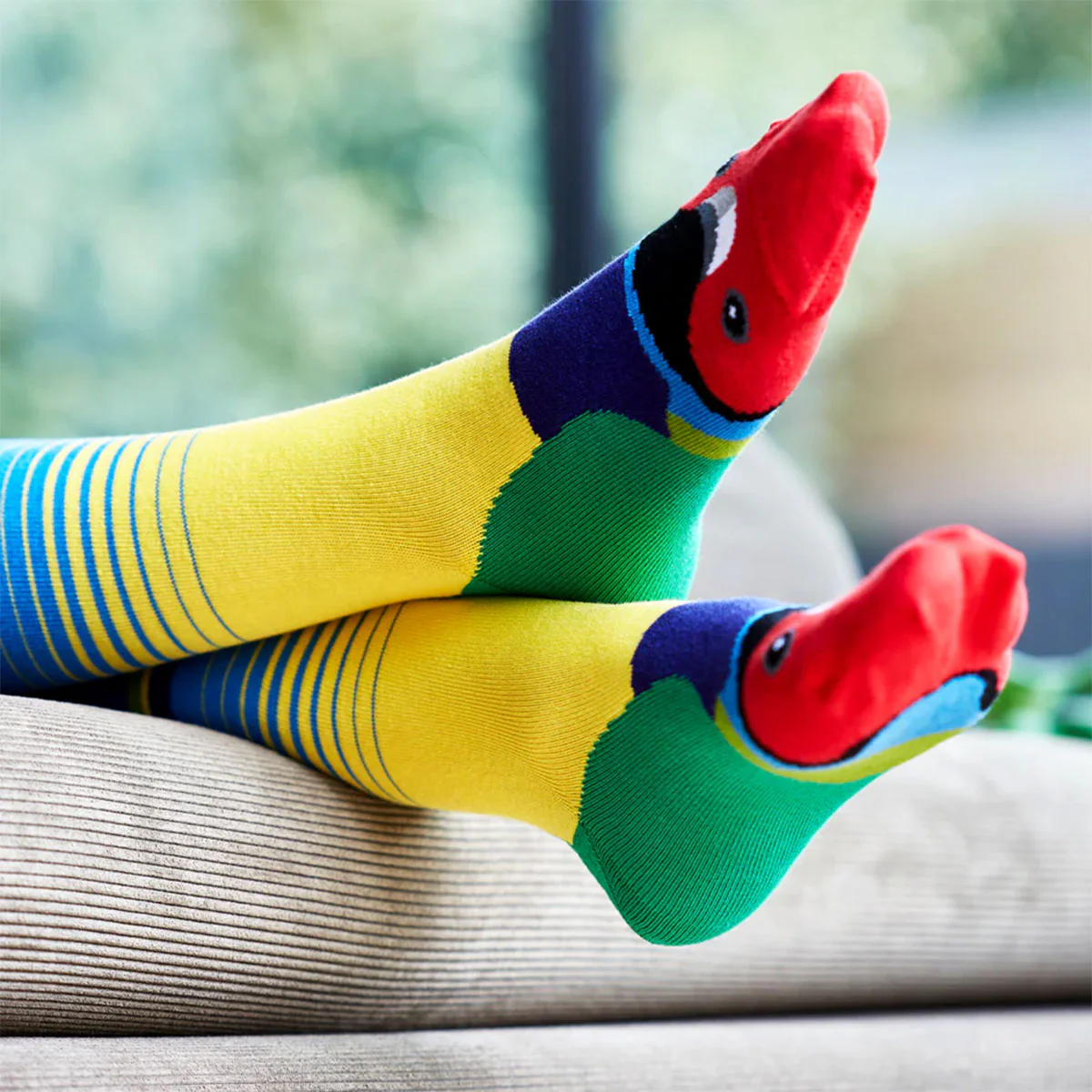 Socks Gouldian Finch 8-11 - WilsonPayne Aust - Image 2