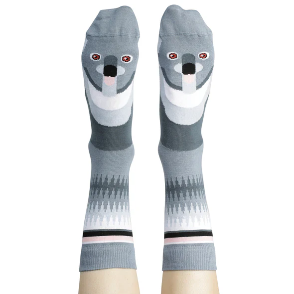 Socks Koala 8-11 - WilsonPayne Aust