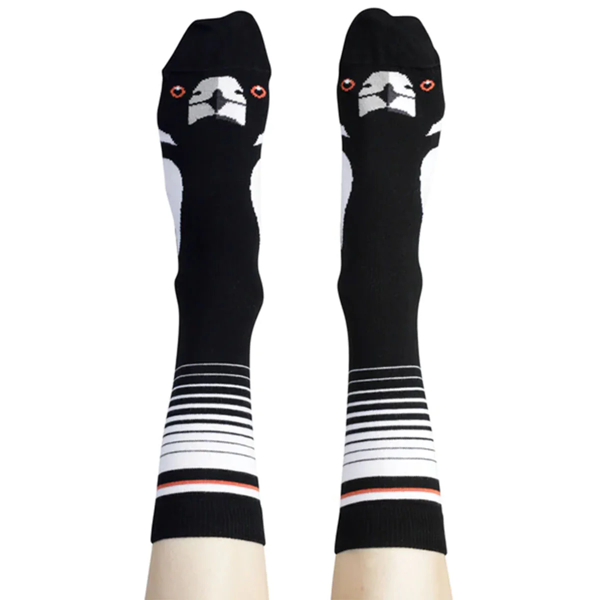 Socks Magpie 8-11 - WilsonPayne Aust