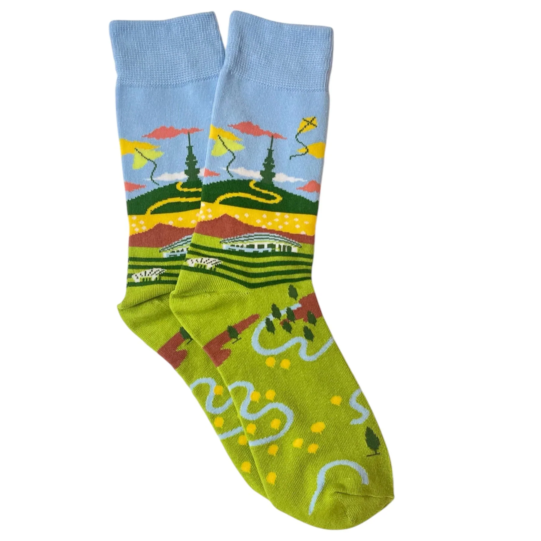 Socks National Arboretum Large - Capital Socks