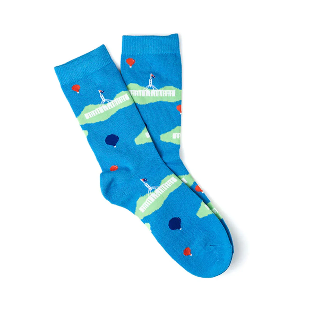 Socks Parliament House Medium - Capital Socks