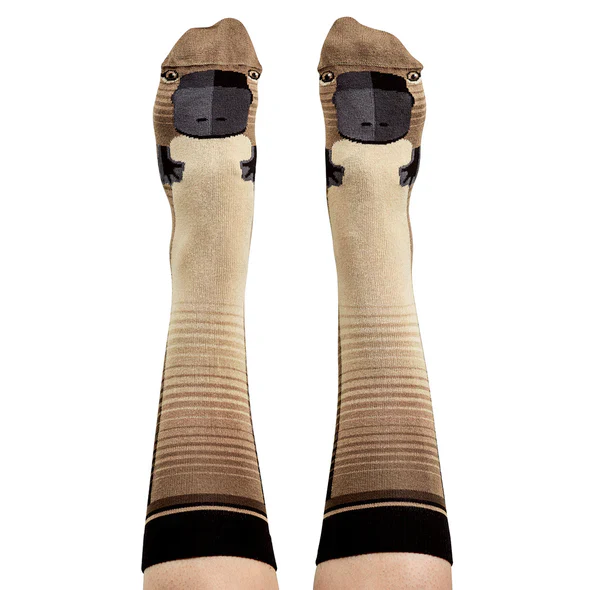 Socks Platypus 8-11 - WilsonPayne Aust