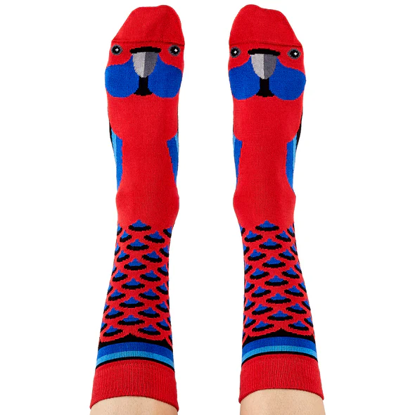 Socks Rosella 8-11 - WilsonPayne Aust