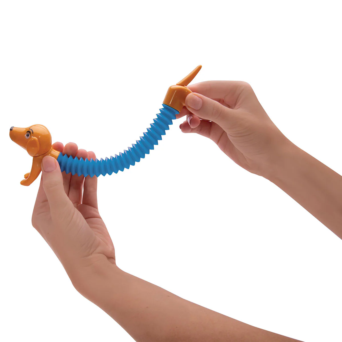Springy Sausage Dog Assorted - Isalbialbi - Image 2