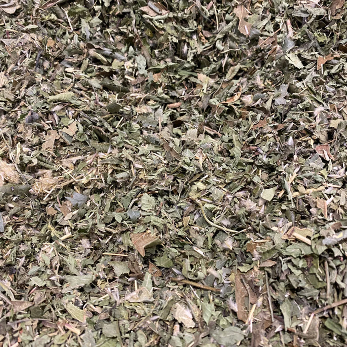 Tea Australian native Three Lemon 50g - Warndu - Image 2