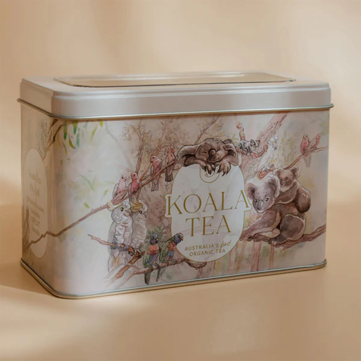 Tea Koala Gift Tin - Koala Tea