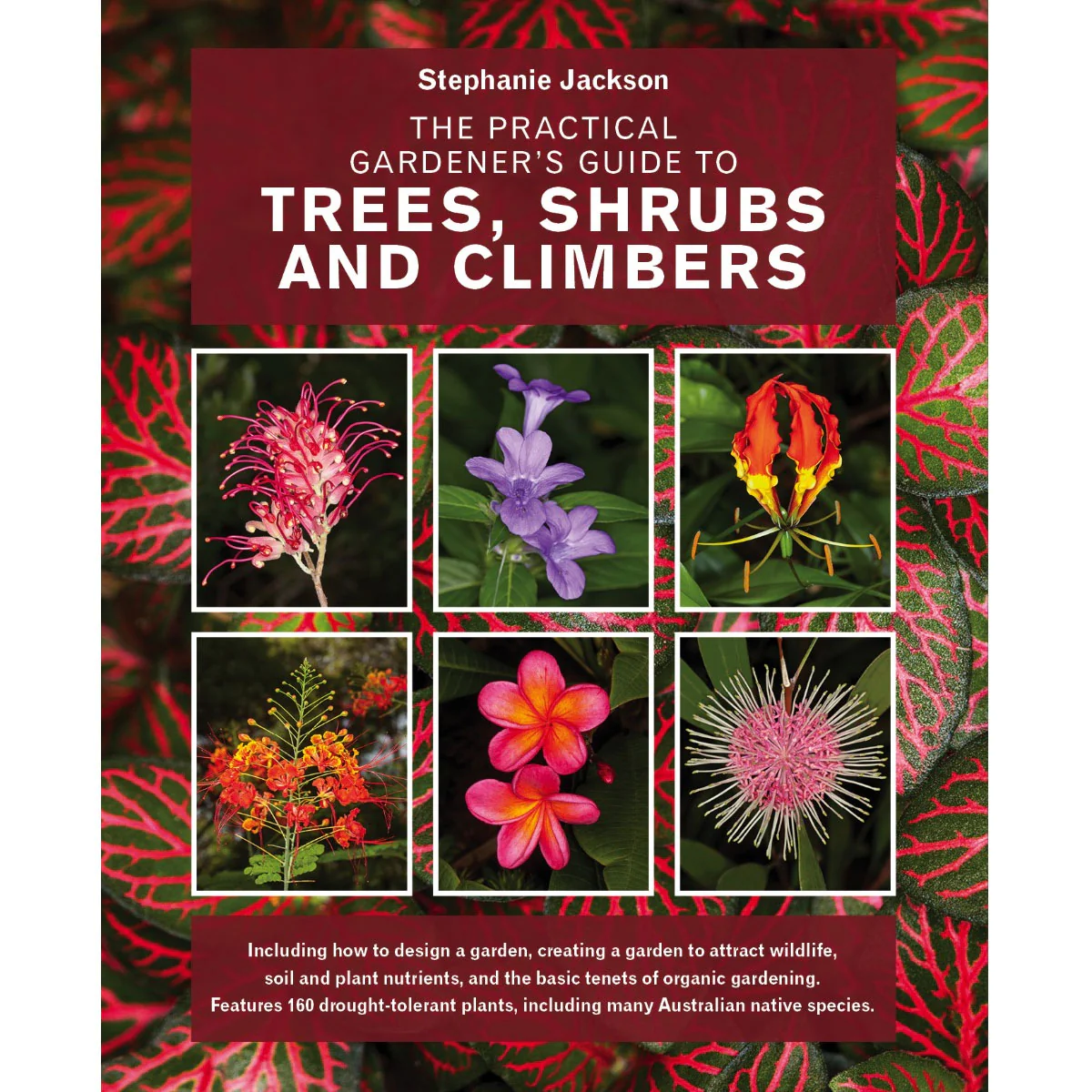 The Practical Gardener's Guide to Trees