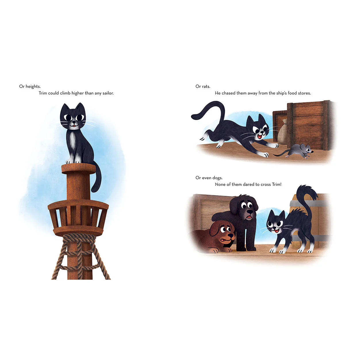 Trim the Cat - Image 2