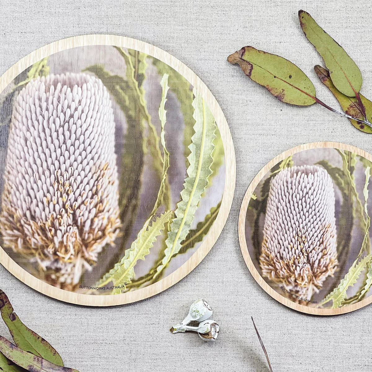 Trivet Mini Botanic Banksia Flower Coloured - ButtonWorks