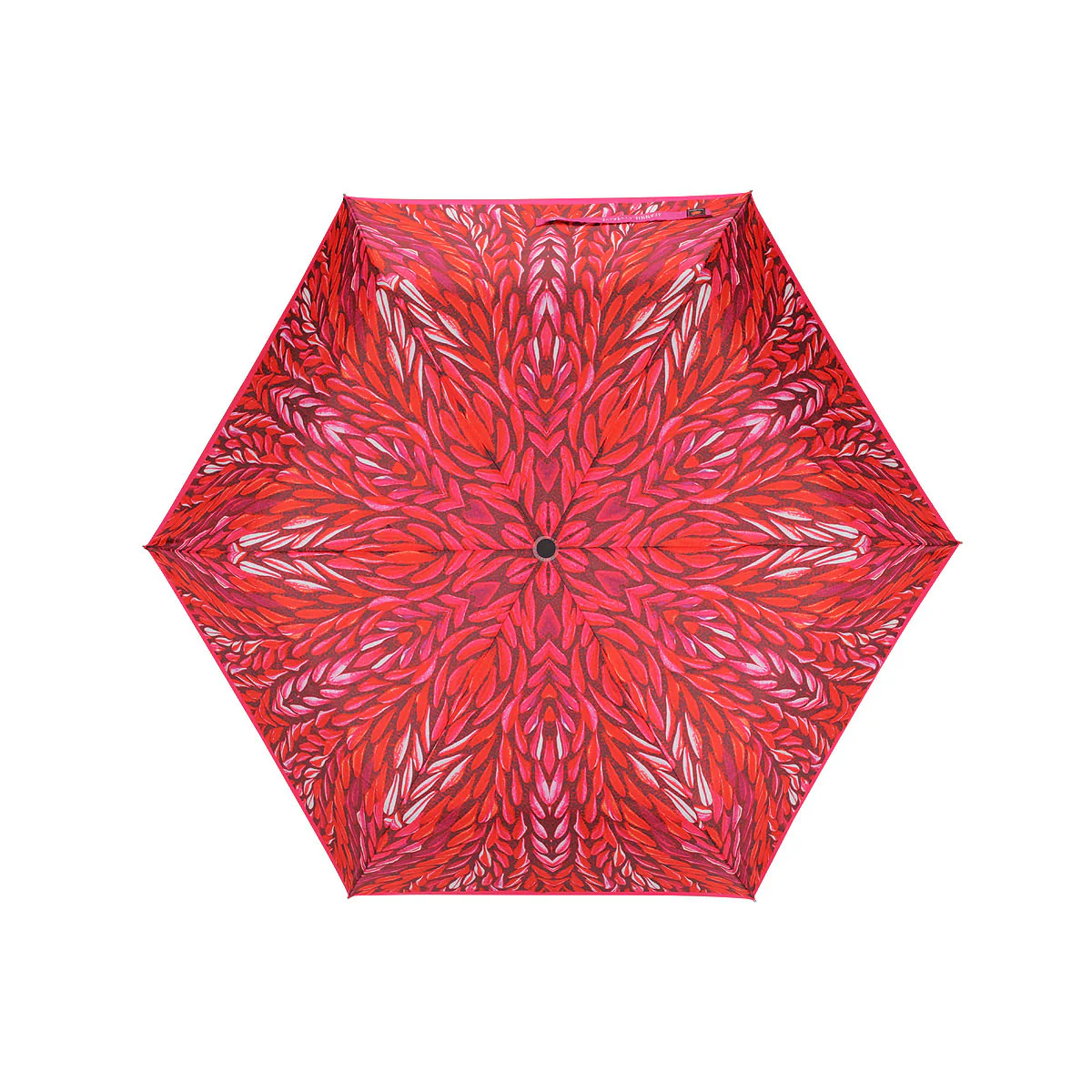 Umbrella Jeannie Petyarre - Outstations