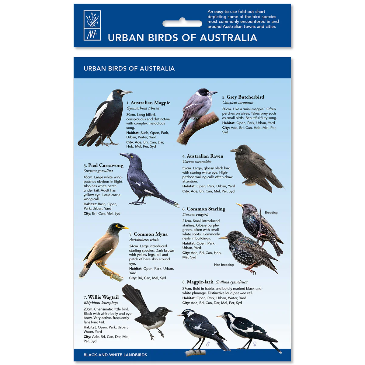 Urban Birds of Australia
