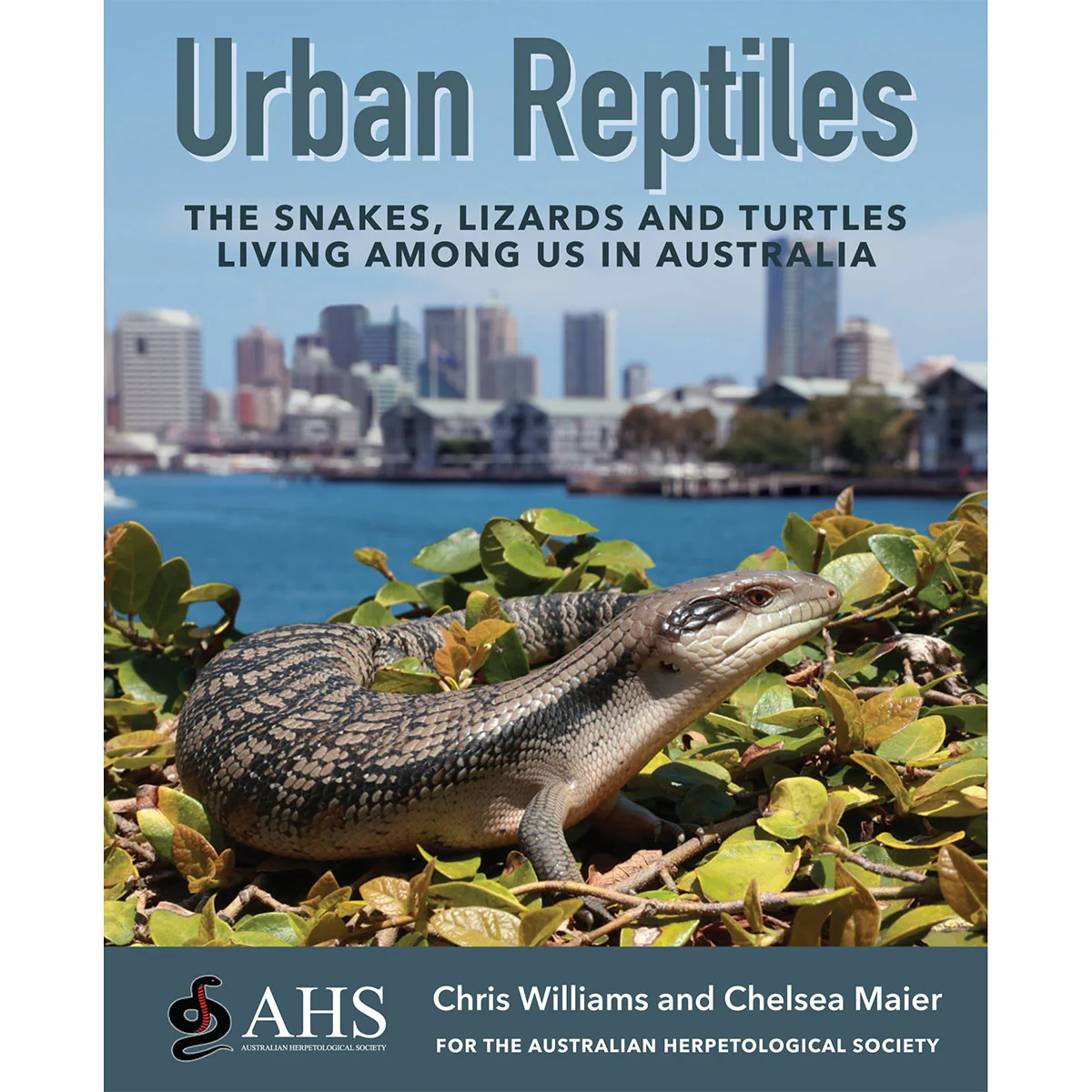 Urban Reptiles