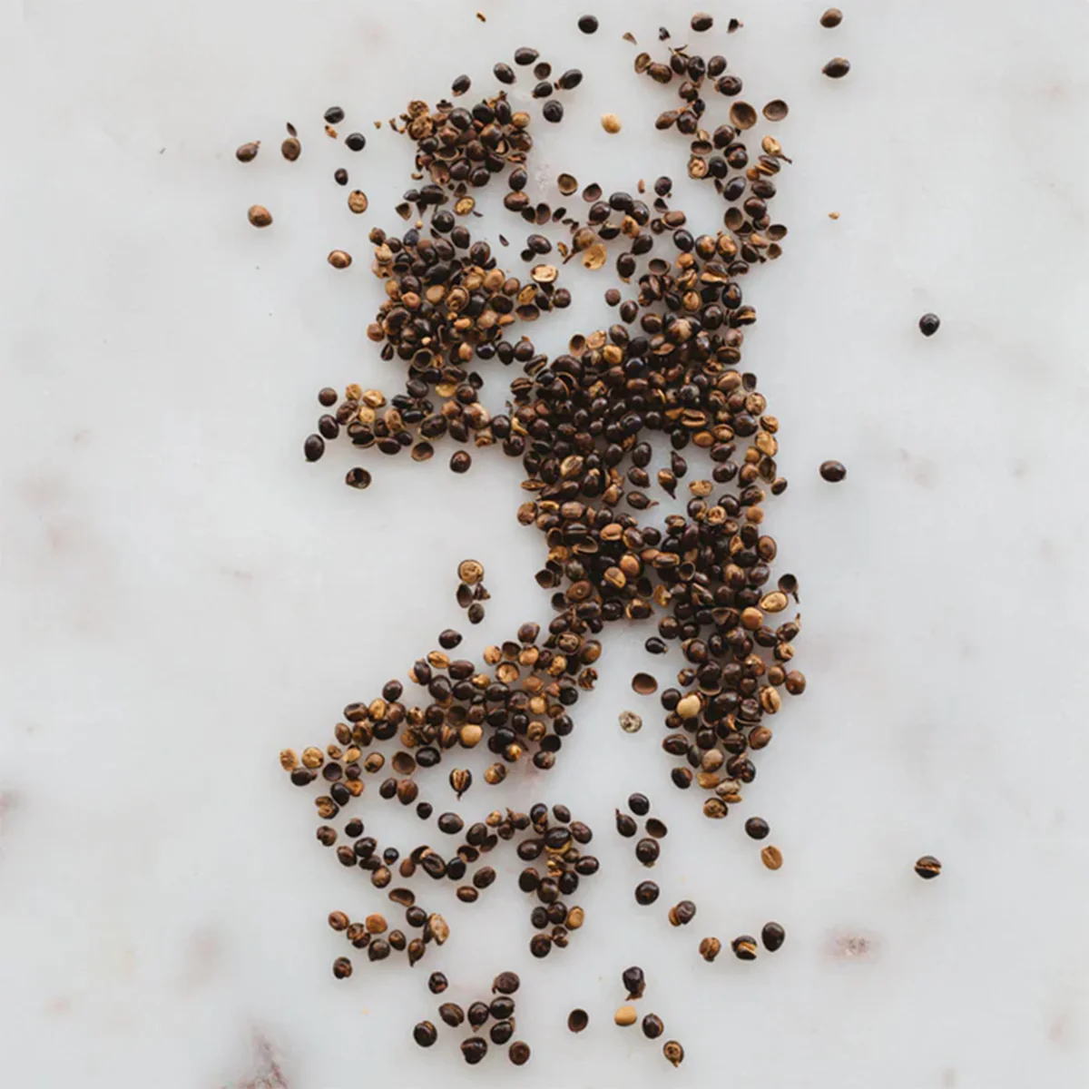 Vinegar Balsamic Wattleseed - Warndu - Image 2