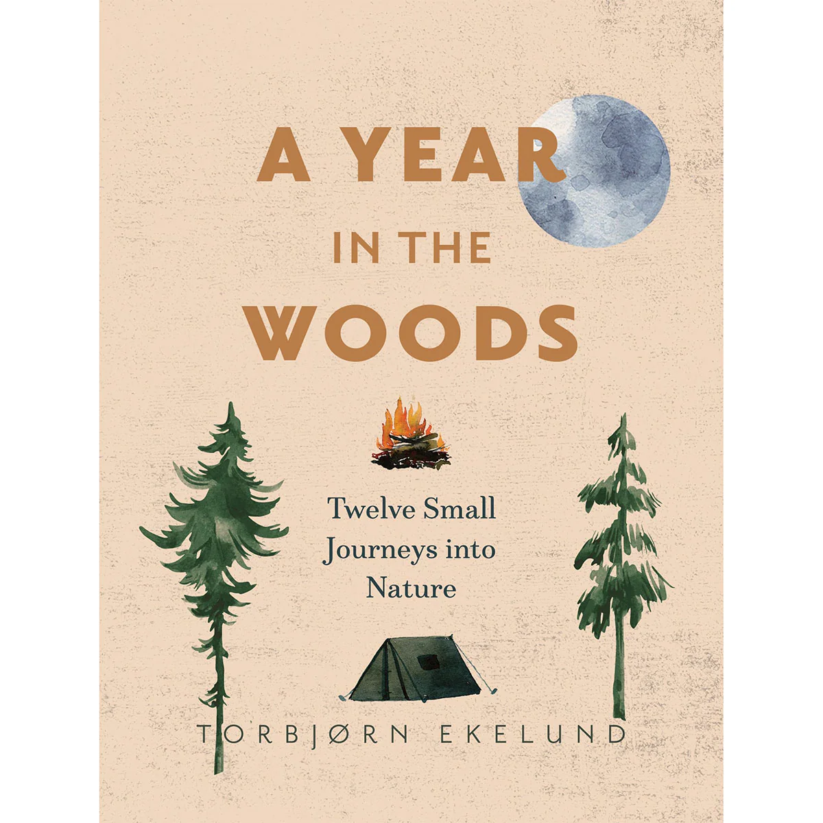 Year in the Woods